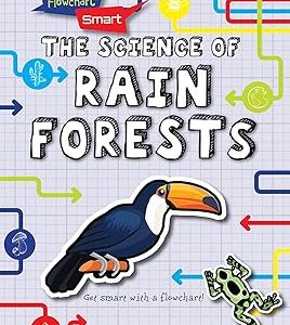 Flowchart Smart (Set Of 6 Books)