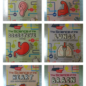 Flowchart Smart (Set Of 6 Books)