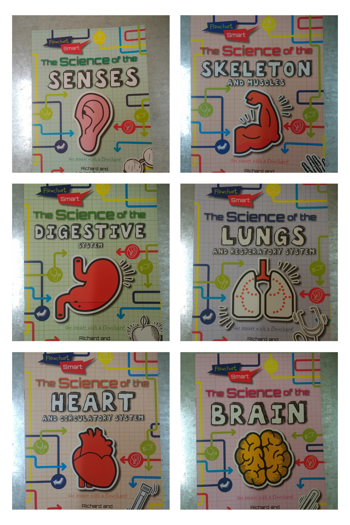 Flowchart Smart (Set Of 6 Books)